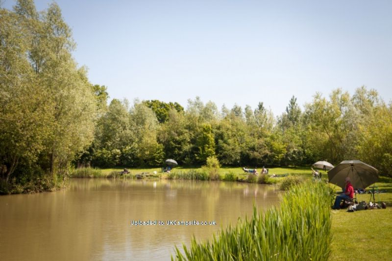 Roland House Farm And Lakes