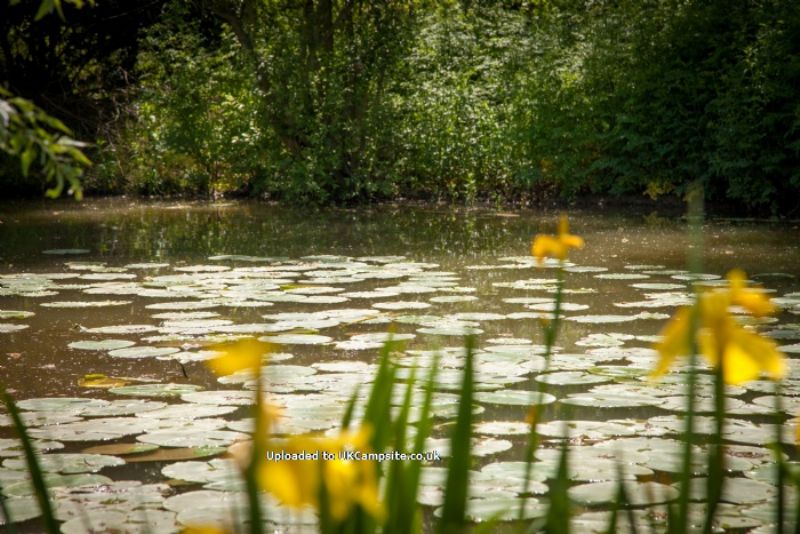 Roland House Farm And Lakes