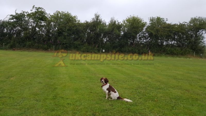 Woodland Rise Camping And Caravan Park