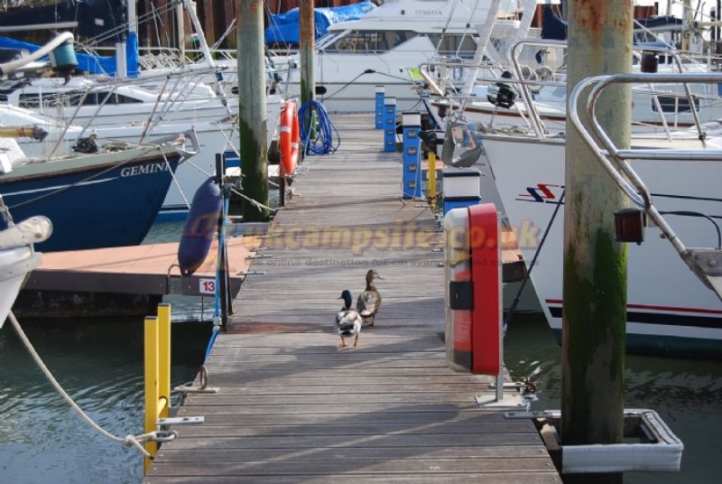 Tollesbury Marina Camping