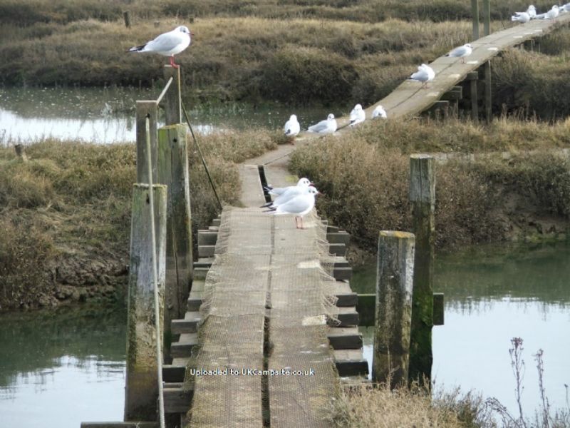 Tollesbury Marina Camping