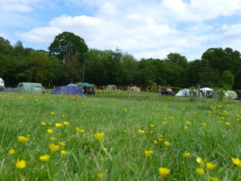Hare And Hounds Campsite