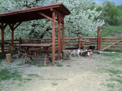 Camping Arges