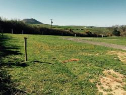 Twnti Touring And Camping Site