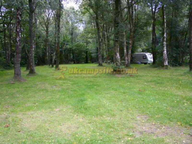 Dinas Farm Camping And Touring Site