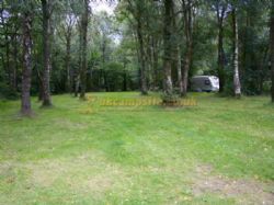 Dinas Farm Camping And Touring Site