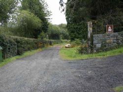 Dinas Farm Camping And Touring Site