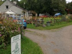 Dinas Farm Camping And Touring Site