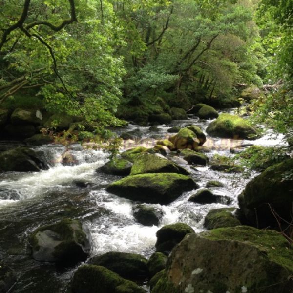 Dinas Farm Camping And Touring Site