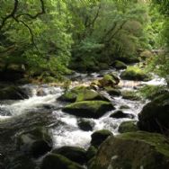 Dinas Farm Camping And Touring Site