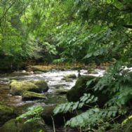 Dinas Farm Camping And Touring Site