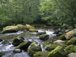 Dinas Farm Camping And Touring Site
