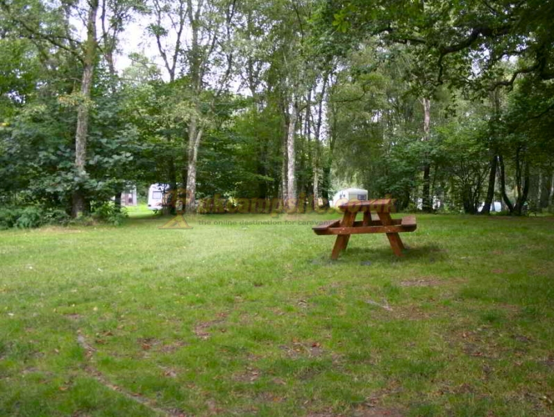Dinas Farm Camping And Touring Site