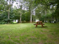 Dinas Farm Camping And Touring Site