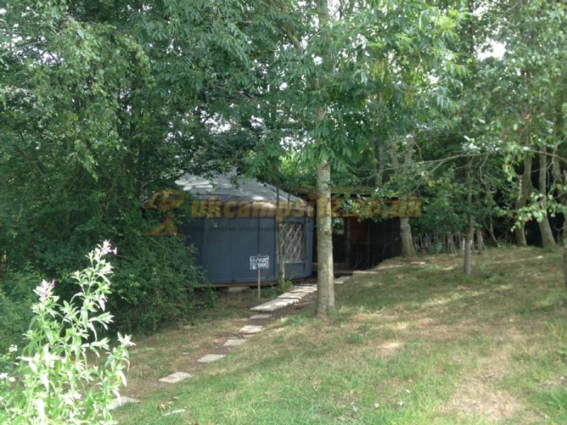 Cotswolds Camping At Holycombe