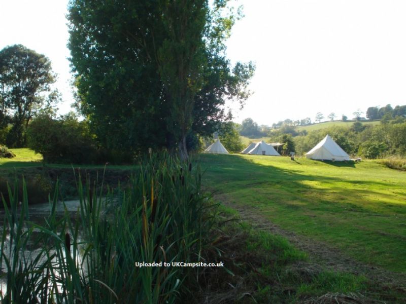 Cotswolds Camping At Holycombe