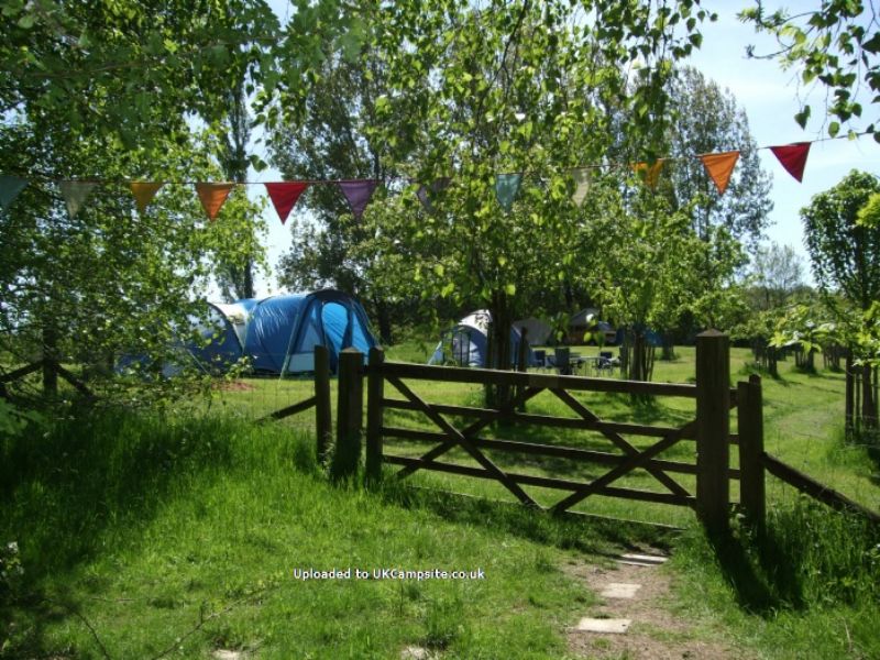 Cotswolds Camping At Holycombe