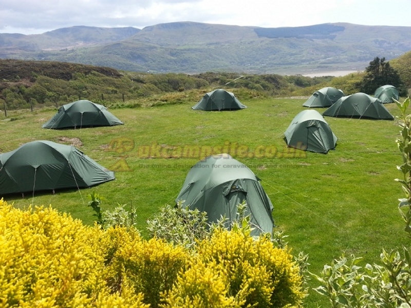 Camping At Bunkorama