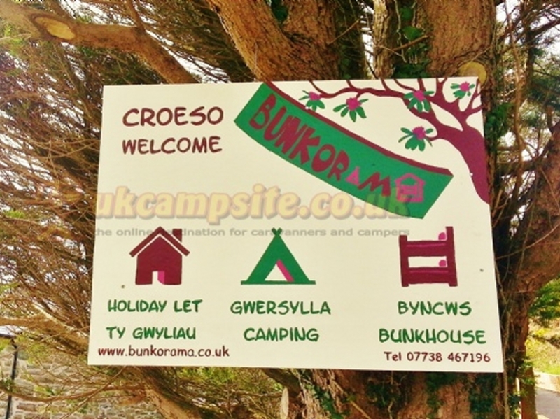 Camping At Bunkorama