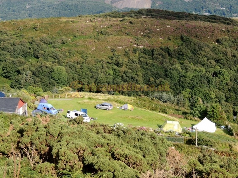 Camping At Bunkorama
