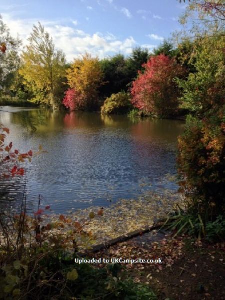 Brooklands Caravan Site And Fishery