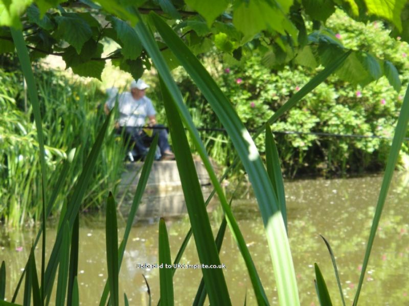 Brooklands Caravan Site And Fishery