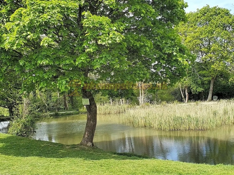Horam Manor Touring Park