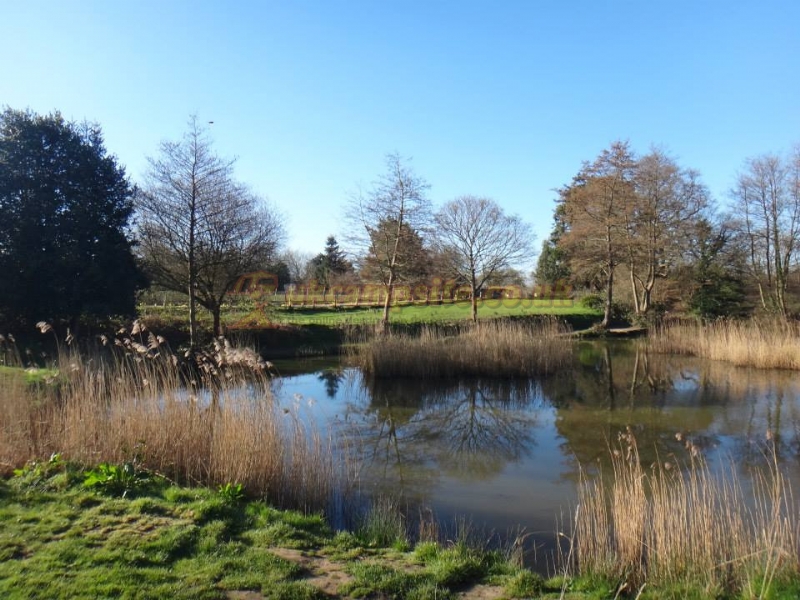 Horam Manor Touring Park