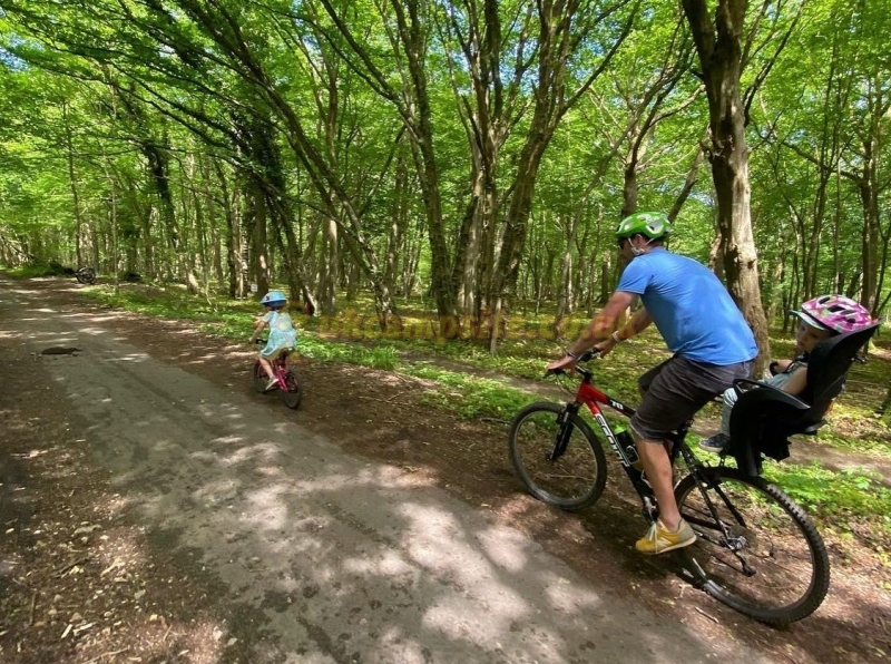 Fontmills Farm Campsite