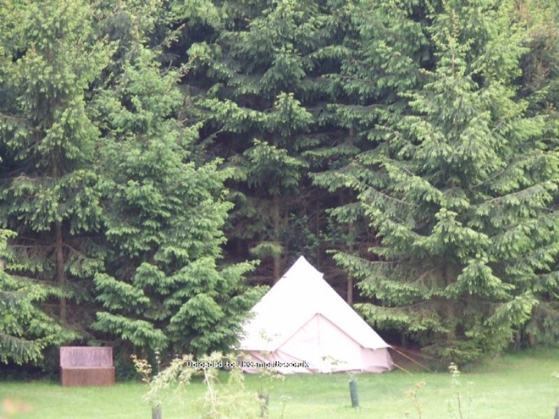 Newbourne Woodland Campsite