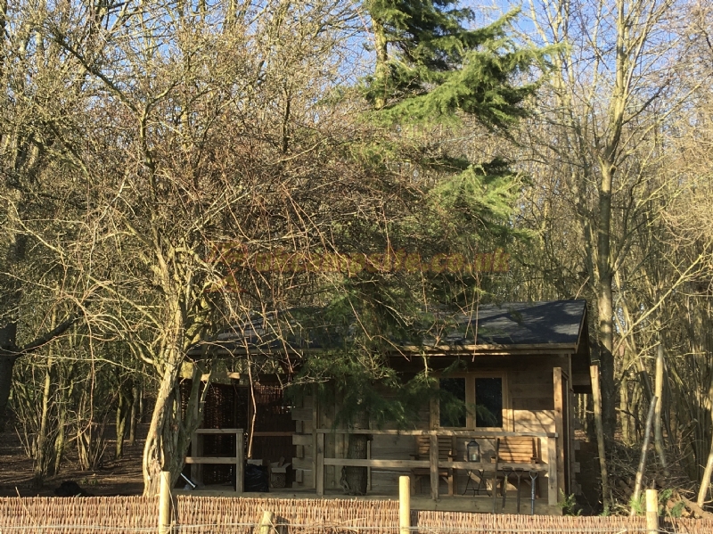 Newbourne Woodland Campsite