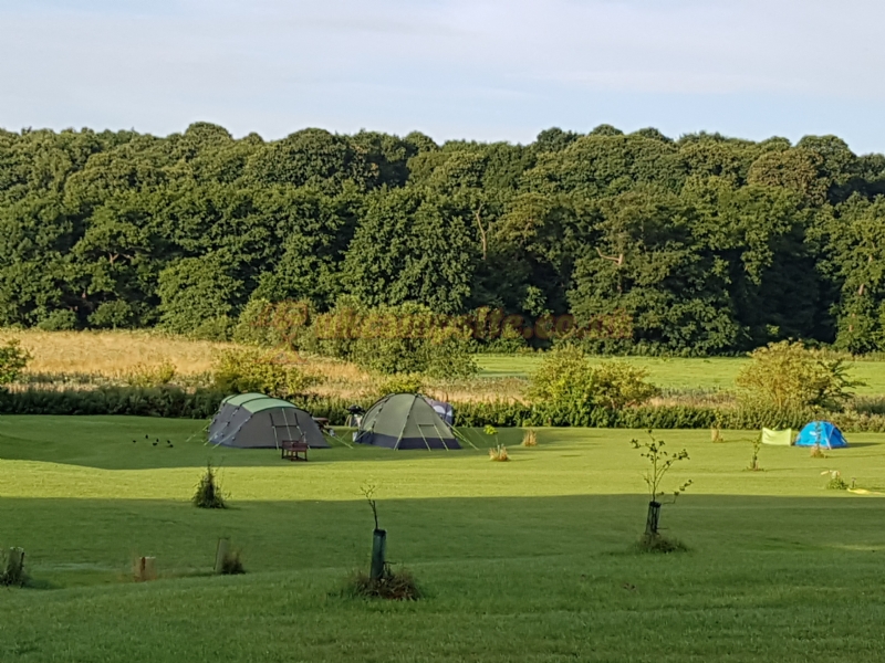 Newbourne Woodland Campsite