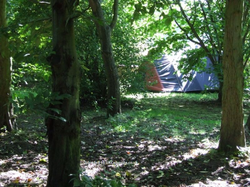 Newbourne Woodland Campsite