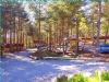 Camping Pod Heaven