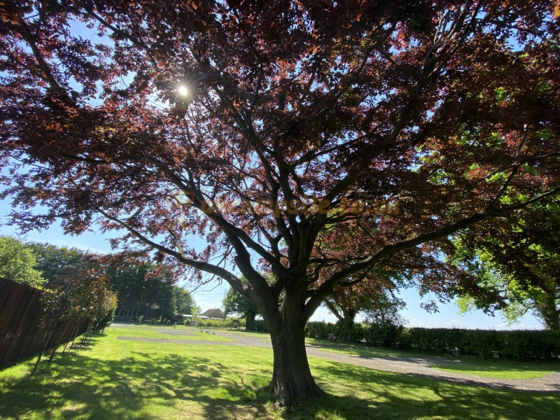 Grantchester Caravan And Camping Site