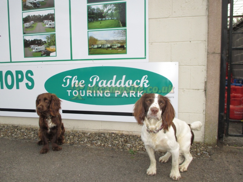 The Paddock Touring Park At Robsons