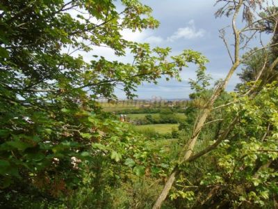 Lady Ediths Holiday Park