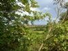 Lady Ediths Holiday Park