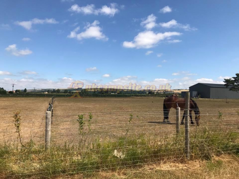 The Mile Caravan Park And Campsite