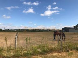 The Mile Caravan Park And Campsite