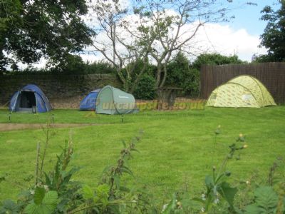 Orchard Camping