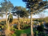 Wallsend Glamping Pods And Campsite