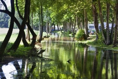 Camping Le Domaine Du Buisson Lac Du Der