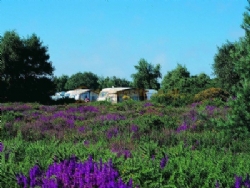 Kelling Heath Holiday Park