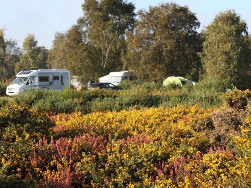 Kelling Heath Holiday Park