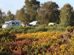 Kelling Heath Holiday Park