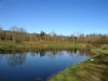 The Green Frog Campsite Fishery And Cafe