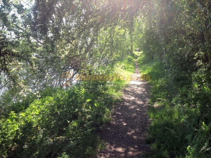 Trentfield Farm Caravan And Campsite
