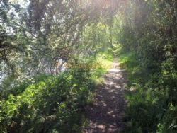 Trentfield Farm Caravan And Campsite