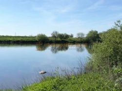 Trentfield Farm Caravan And Campsite